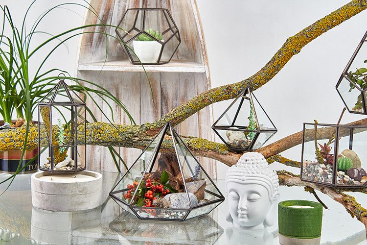 Üveg Terrárium - Kicsi Gyémánt