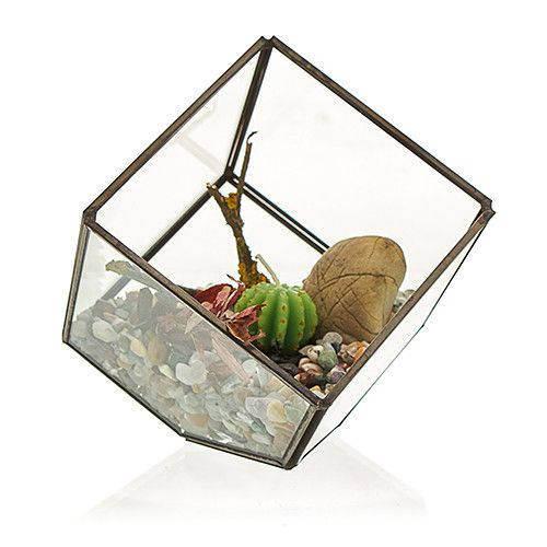 Üveg Terrárium - Kocka