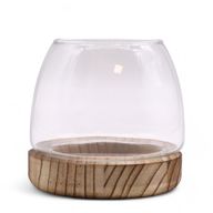 Kicsi Terrárium Natúr Tung Fával - 13x13cm