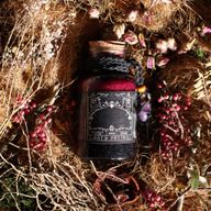 Ancient Witch kezdőcsomag – 69 darabos | 10% kedvezmény