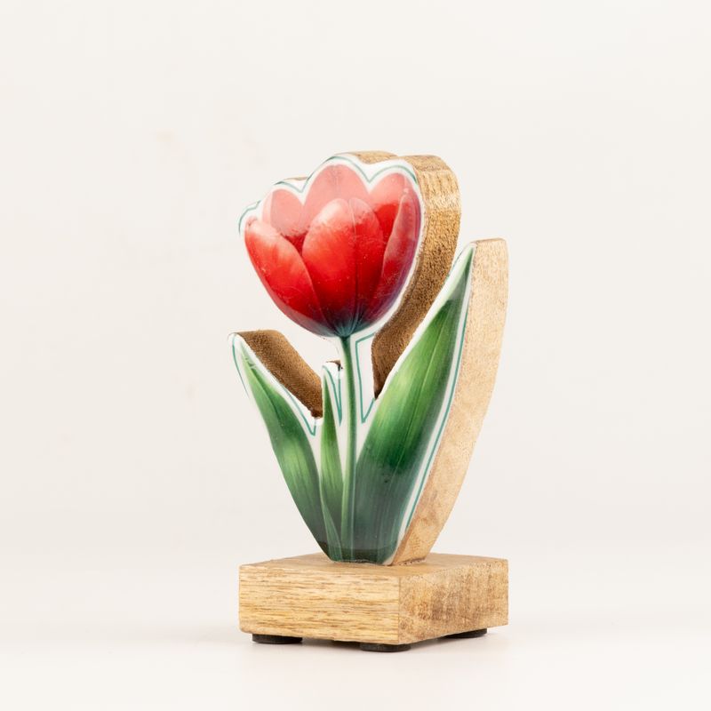 Fa szobanövény - Mini tulipán
