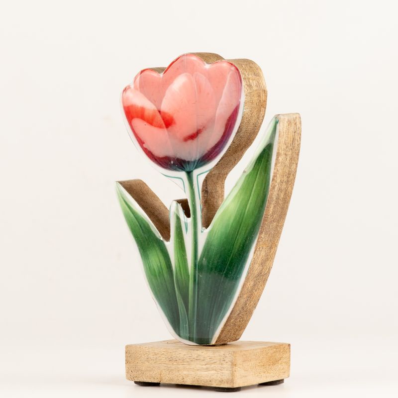 Fa szobanövény - Közepes tulipán