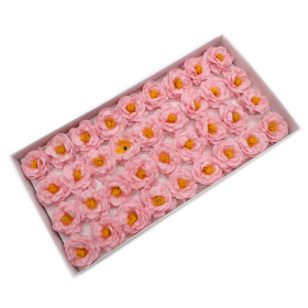 36x Szappanvirágok - Kamélia- Rózsaszín