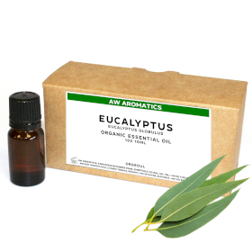 10x Eukaliptusz Organikus Illóolaj 10ml-címke nélkül