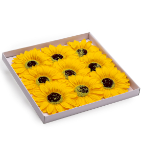 9x Szappanvirág - Nagy Napraforgó - (14cm)