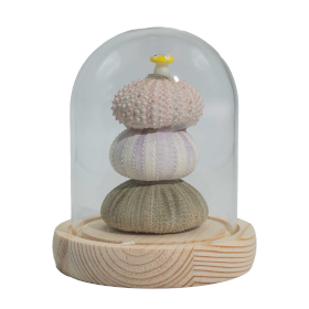 Ragyogó virágok üvegkupolában - 3 Tengeri sün - LED USB