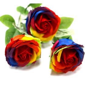 6x Luxus Szappanvirág - Szivárványos Rózsa