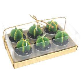 5x 6 darab Kaktusz Gyertyák Szerzetes